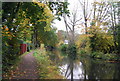 Basingstoke Canal