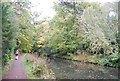 Basingstoke Canal