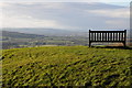 Bench at Upper Wyche