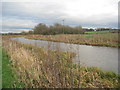 Chesterfield Canal and Decoy Wood