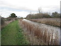 The Chesterfield Canal