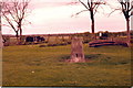 Horton trig point guarded by bullocks