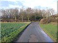 Driveway from Mickleton Woods Farm