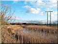 Pool beside A63 near Selby