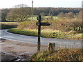 Road to the north of Buckmoorend