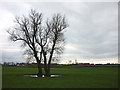 Looking towards Hoole Farm from Bowers Wood