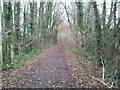 Old railway track, heading towards Bovey Tracey