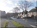 Cambridge Road - viewed from Shirley Avenue