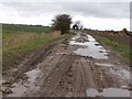 TF2027 : Muddy Farm Track off Cheal Lane by J.Hannan-Briggs