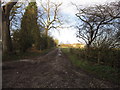 The Entrance to Cherry Top Farm