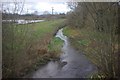 River Lark, West Stow