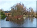 River Itchen at St Cross