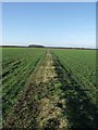 Public Footpath near A46 Lincoln road