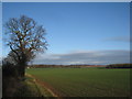 Landscape near Newlands