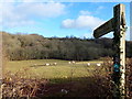 Footpath to the Escley Brook