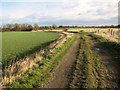 Track east of Jermyns Farm, Capel St Mary