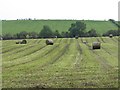 Silage bales