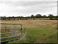 Harvested crop land east of Ballyclander Road