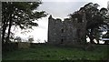 Tower House, Ballinshoe