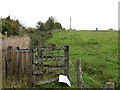 A disused gate