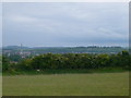 View towards Salisbury from Old Sarum