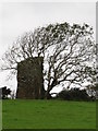 The ruins of Castle Skreen