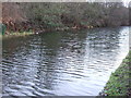 Leeds and Liverpool Canal