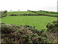 Undulating farmland west of Corbally Road