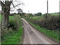 Ballygallum Road at the height of the muck spreading season