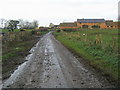 Road by Littlecote Farm