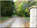 Driveway to Clungunford House