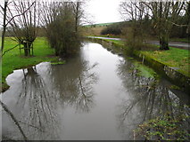 SU0425 : River Ebble, Broad Chalke - 11 by Maigheach-gheal
