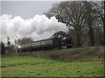 ST1630 : West Somerset Railway north of Bishops Lydeard by Gareth James