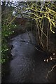 Mid Devon : River Batherm Tributary