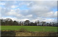 Beechwood from Wetherby Road