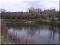 Coombe Hill Canal basin