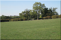SP1764 : Corner of a meadow west of Barnmoor Wood by Robin Stott