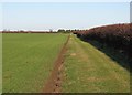 TL5462 : Path from Bottisham to Lode and Long Meadow by John Sutton