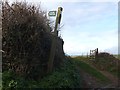 Footpath sign and field gate