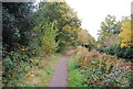 Towpath, Basingstoke Canal