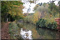 Autumn colours, Basingstoke Canal