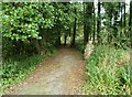 Path from Port Macadam to the B796