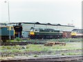 Class 27 at Saltley Depot, 1991