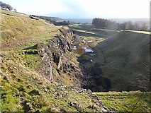 NY9939 : Ashes Quarry, Stanhope by Oliver Dixon