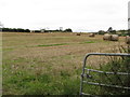 Straw bales in a harvested field south of the Ballygallum Road