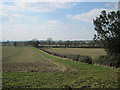 Footpath  to  Cowesby  from  Rudding  Lane