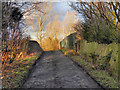 The Bridge at Moss Shaw Farm