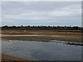 Ray Creek at Colne Point Nature Reserve