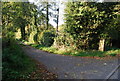 Farm track off Reynolds Lane