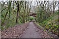 Tiverton : The Old Railway Line